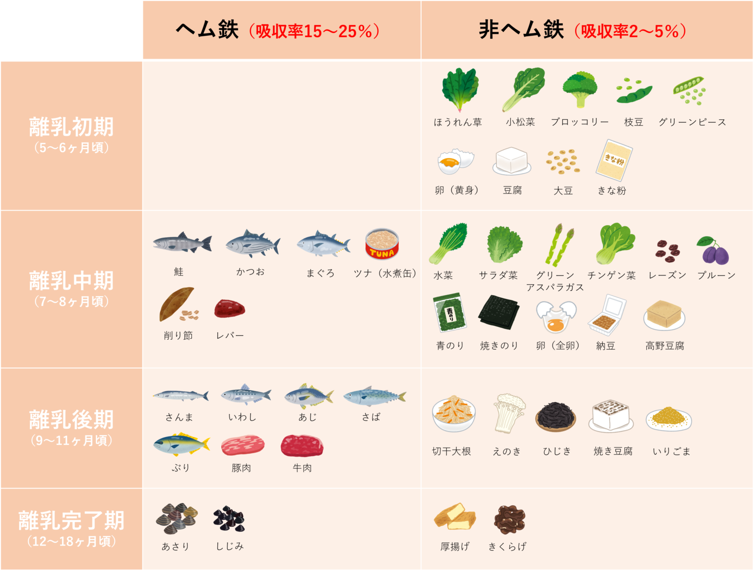 離乳食で鉄分が摂れるおすすめの食材は？ | 管理栄養士夫婦による実践栄養学